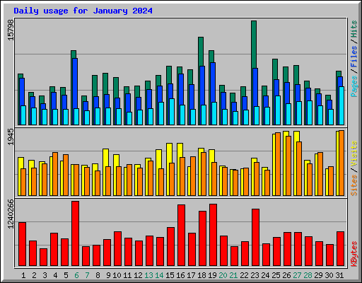 Daily usage for January 2024