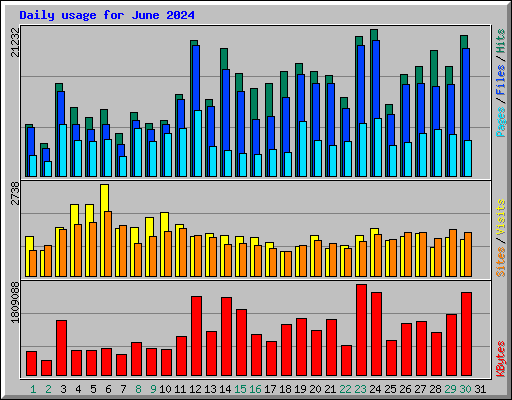 Daily usage for June 2024