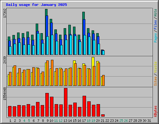 Daily usage for January 2025