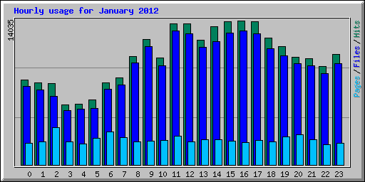 Hourly usage for January 2012