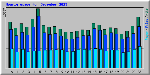 Hourly usage for December 2023