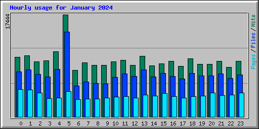 Hourly usage for January 2024