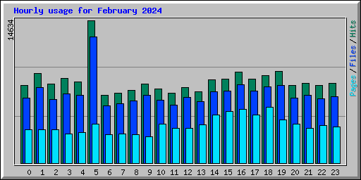 Hourly usage for February 2024