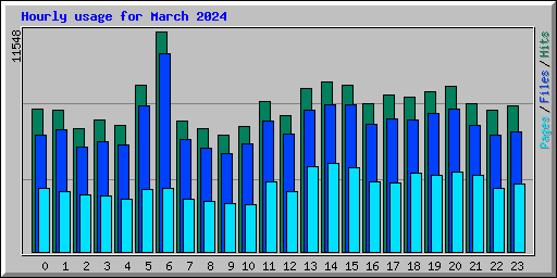 Hourly usage for March 2024