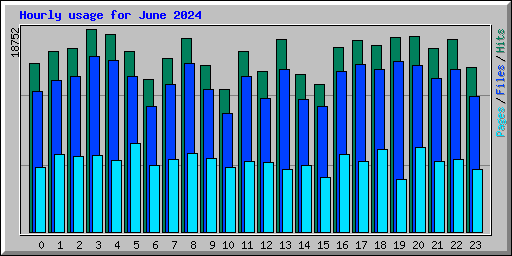 Hourly usage for June 2024