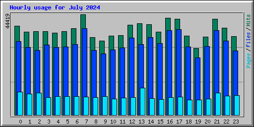 Hourly usage for July 2024