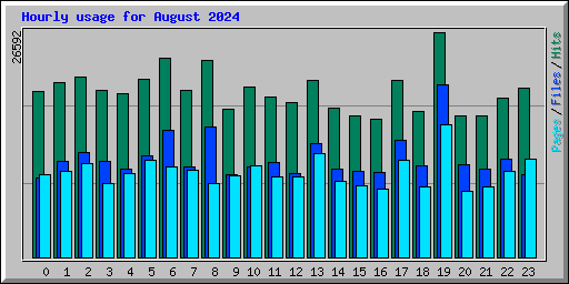 Hourly usage for August 2024