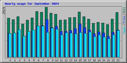 Hourly usage for September 2024