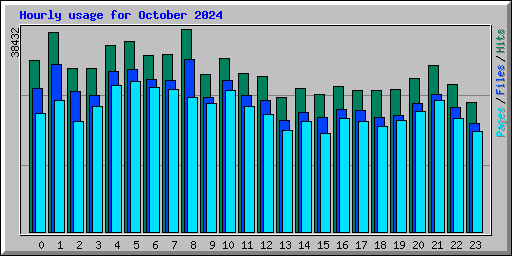 Hourly usage for October 2024