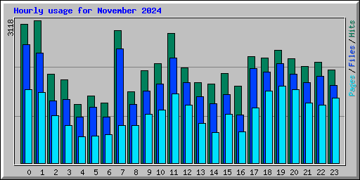 Hourly usage for November 2024