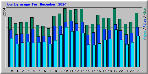 Hourly usage for December 2024