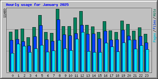 Hourly usage for January 2025