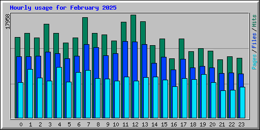 Hourly usage for February 2025