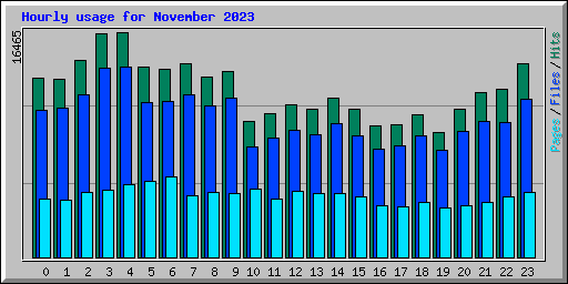 Hourly usage for November 2023